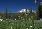 Lassen Peak From Kings Creek - Davies